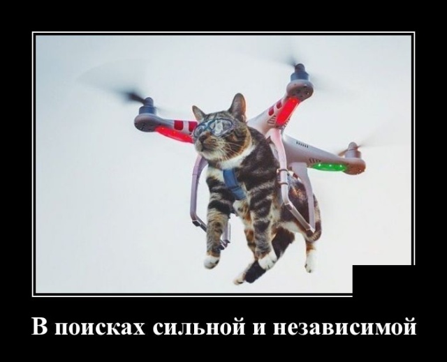 Смешные демотиваторы на Dosuga.net