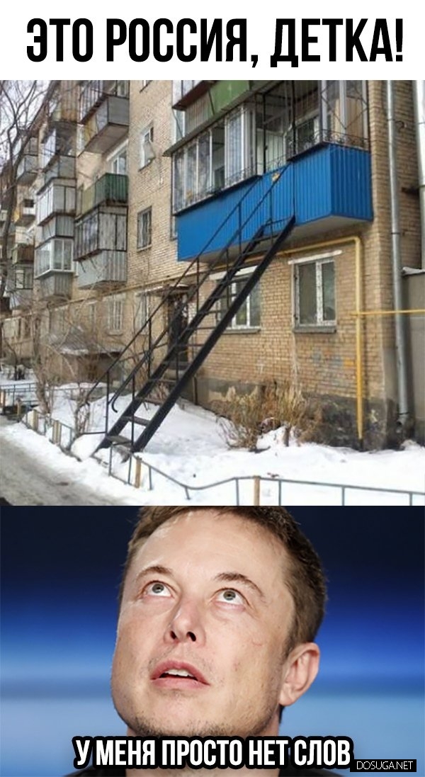 Смешные мемы и картинки с надписями