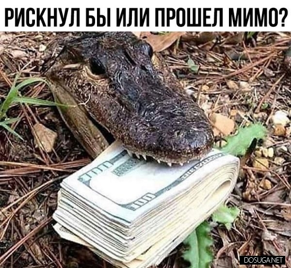 Смешные мемы и картинки с надписями