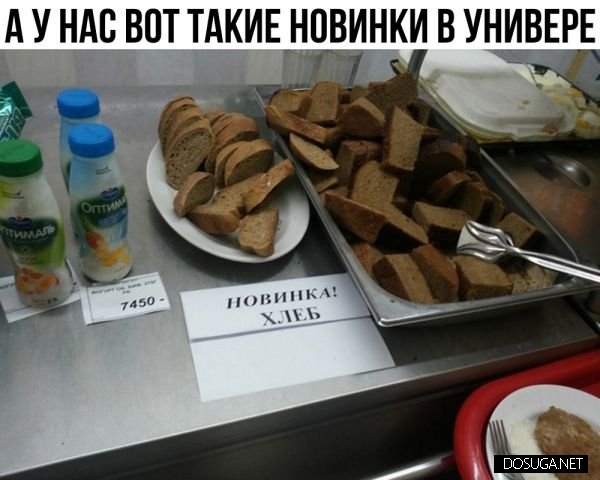 Смешные мемы и картинки с надписями