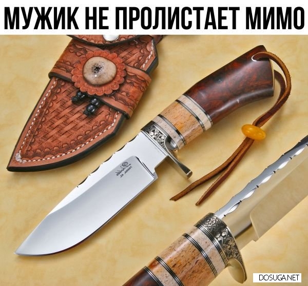 Смешные мемы и картинки с надписями