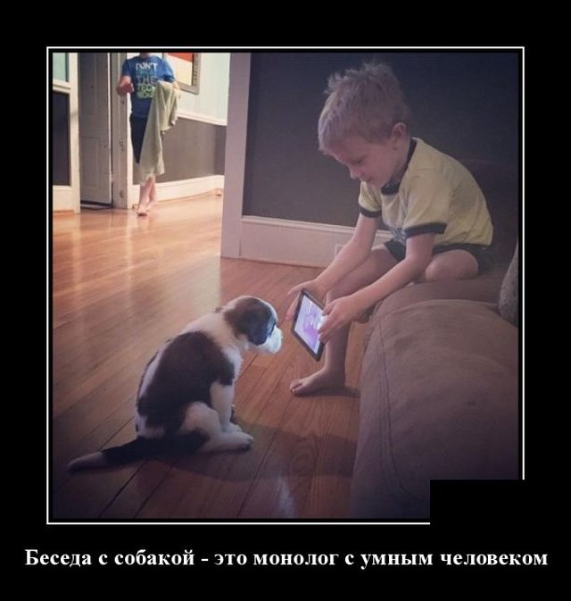 Демотиватор