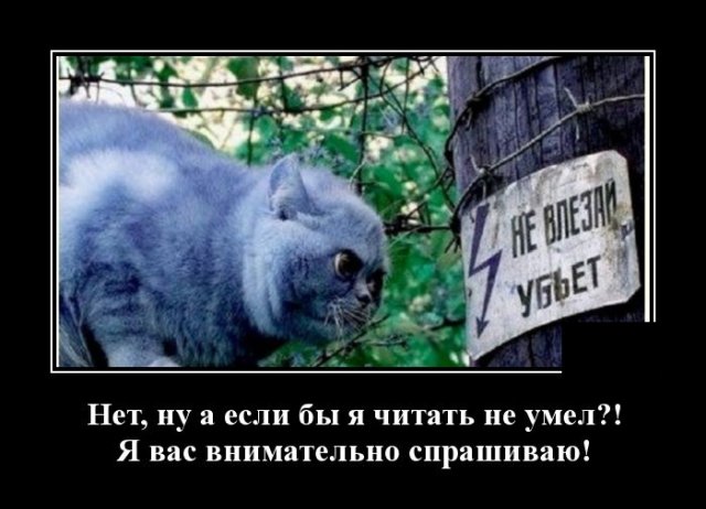 Демотиватор