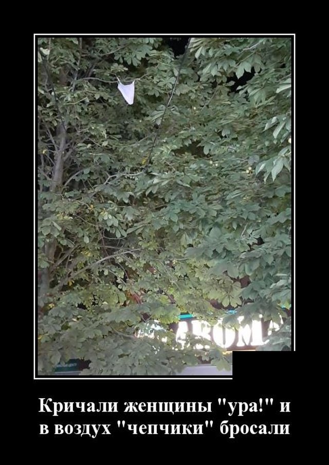 Демотиватор