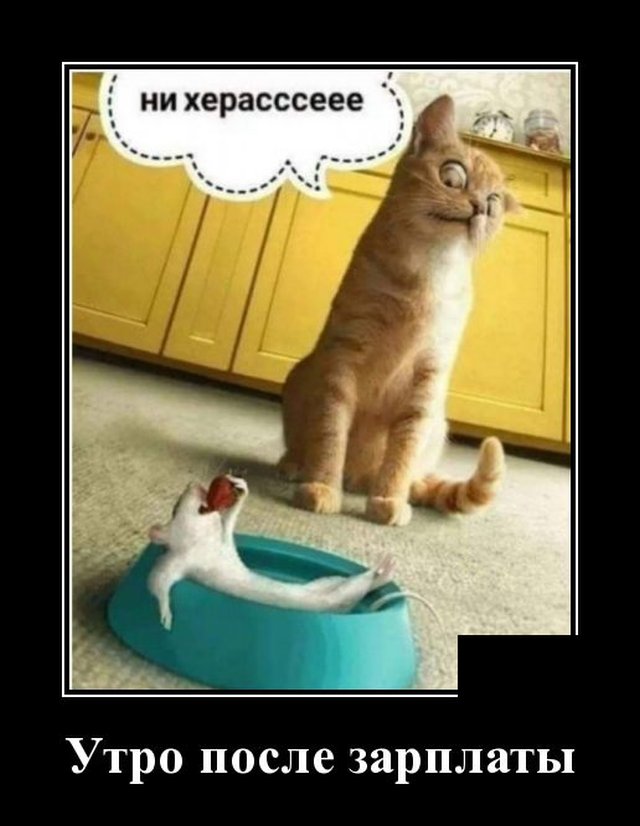 Демотиватор