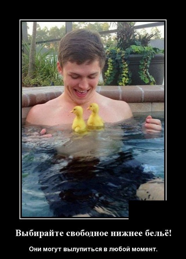 Демотиватор