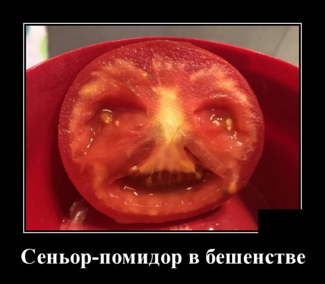 Демотиватор