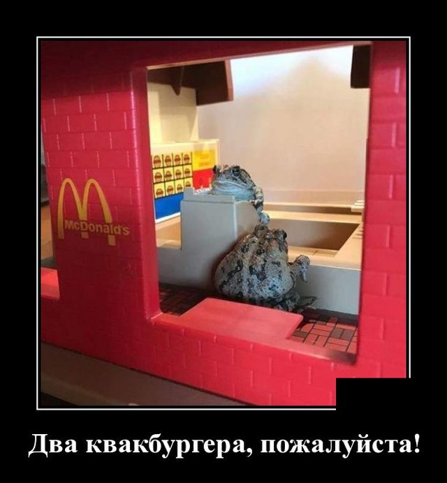 Демотиватор