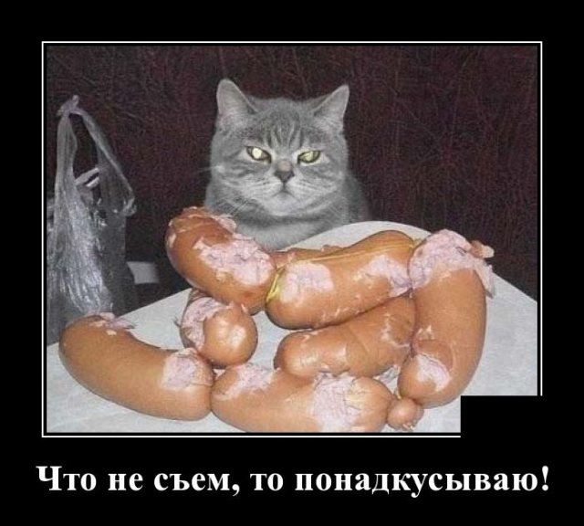 Демотиватор