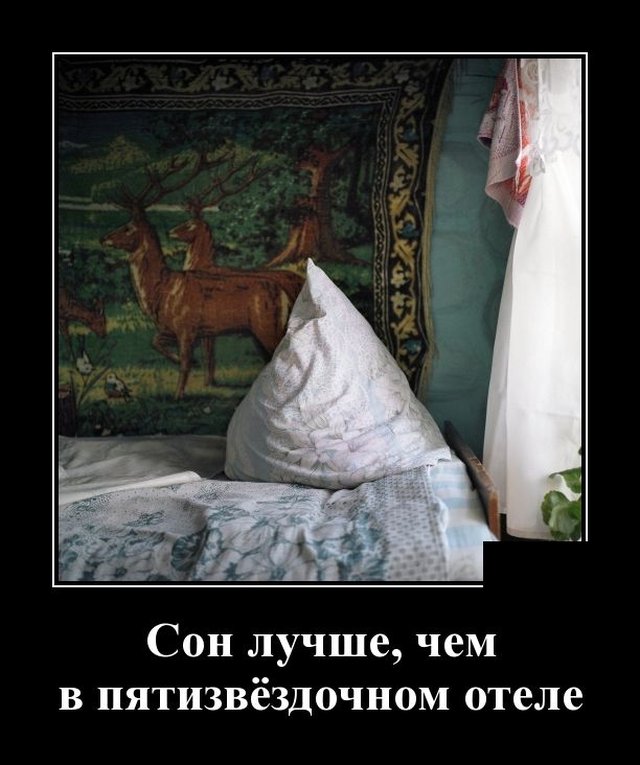 Демотиватор