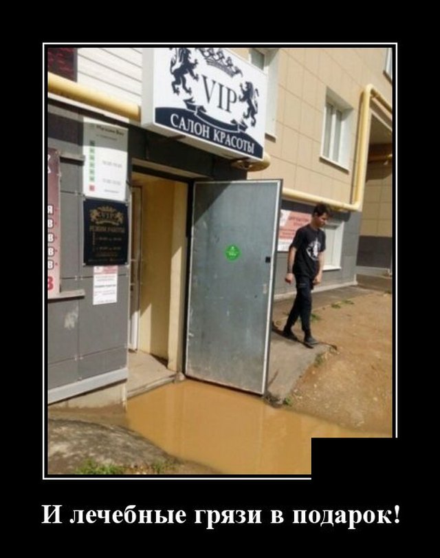 Демотиватор