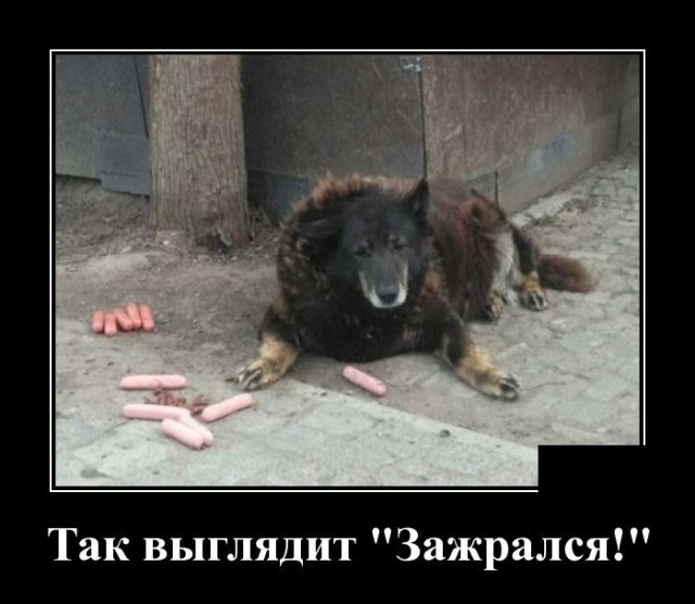 Демотиватор