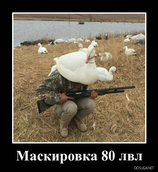 Смешные демотиваторы Dosuga.net