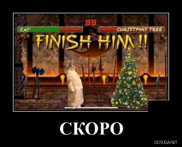 Смешные демотиваторы Dosuga.net