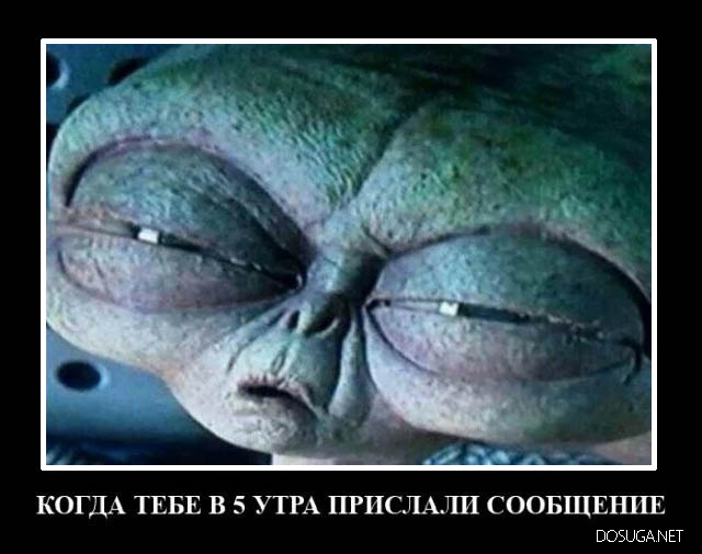 Смешные демотиваторы Dosuga.net