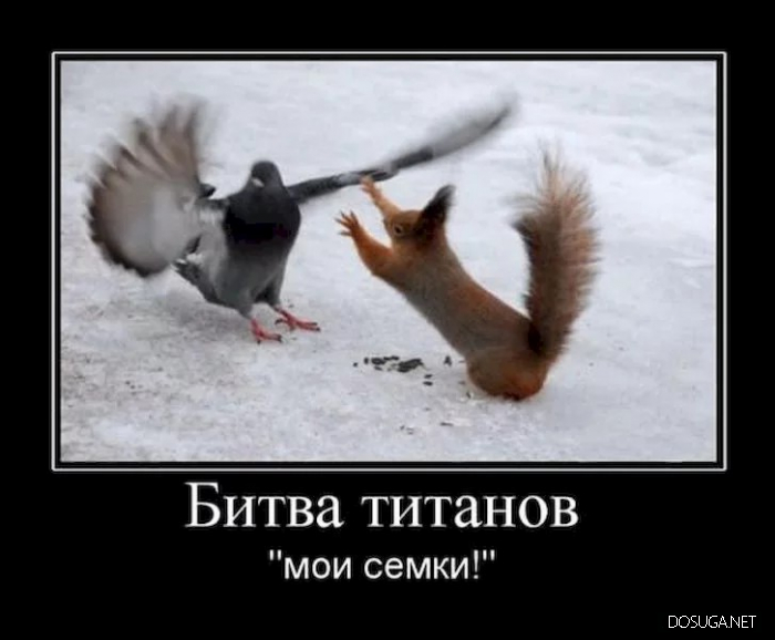 Смешные демотиваторы Dosuga.net