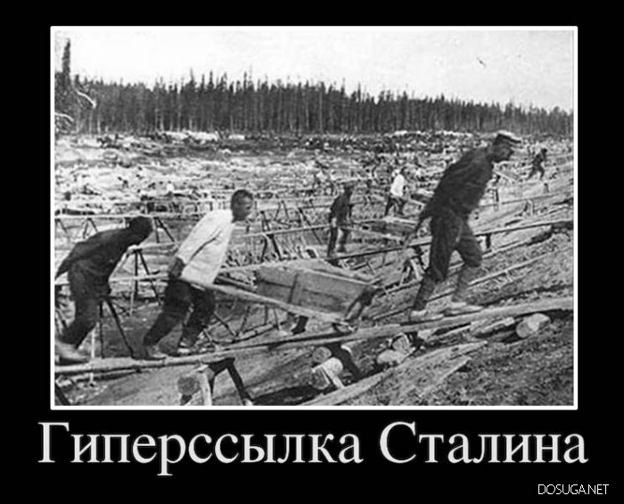 Смешные демотиваторы Dosuga.net