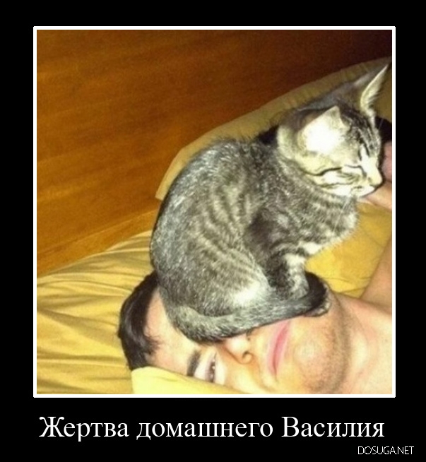 Демотиватор на dosuga.net