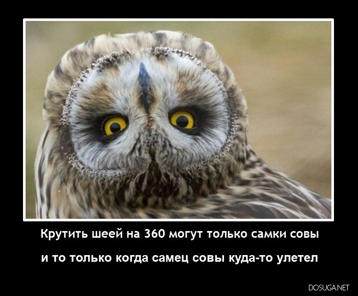 Демотиватор на dosuga.net