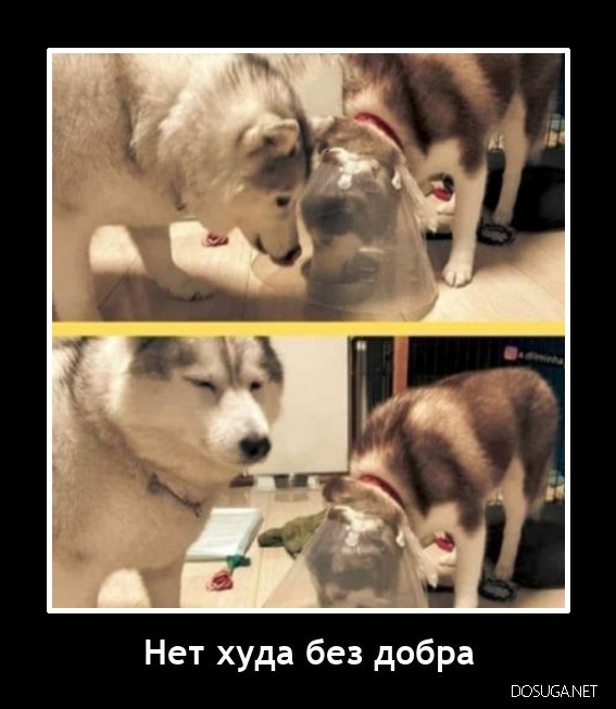 Демотиватор на dosuga.net