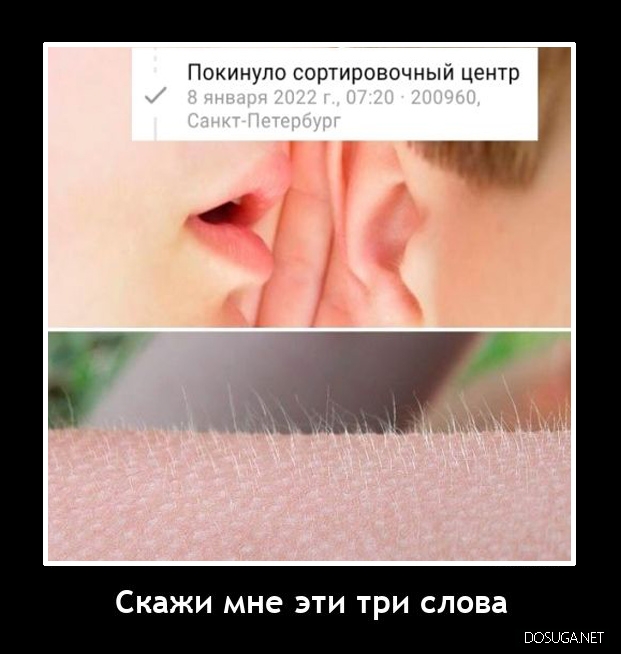 Демотиватор на dosuga.net