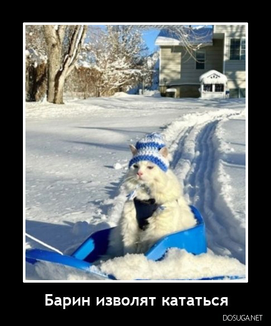 Смешные демотиваторы