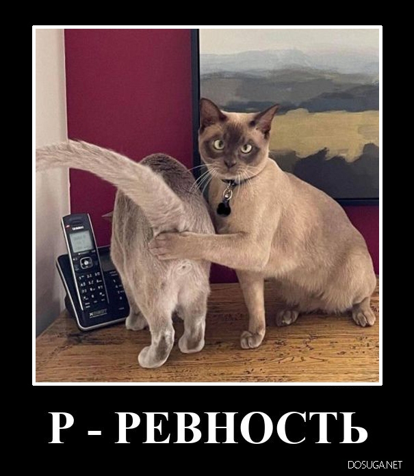 Смешные демотиваторы