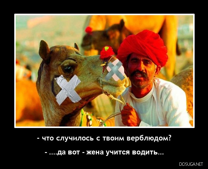 Смешные демотиваторы