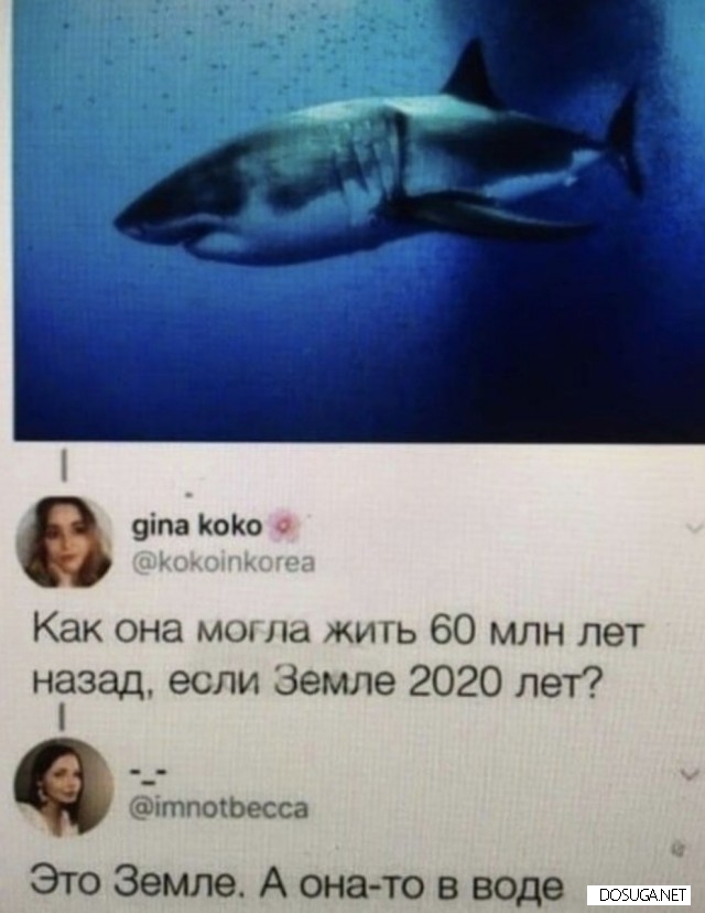 Смешные картинки на dosuga.net