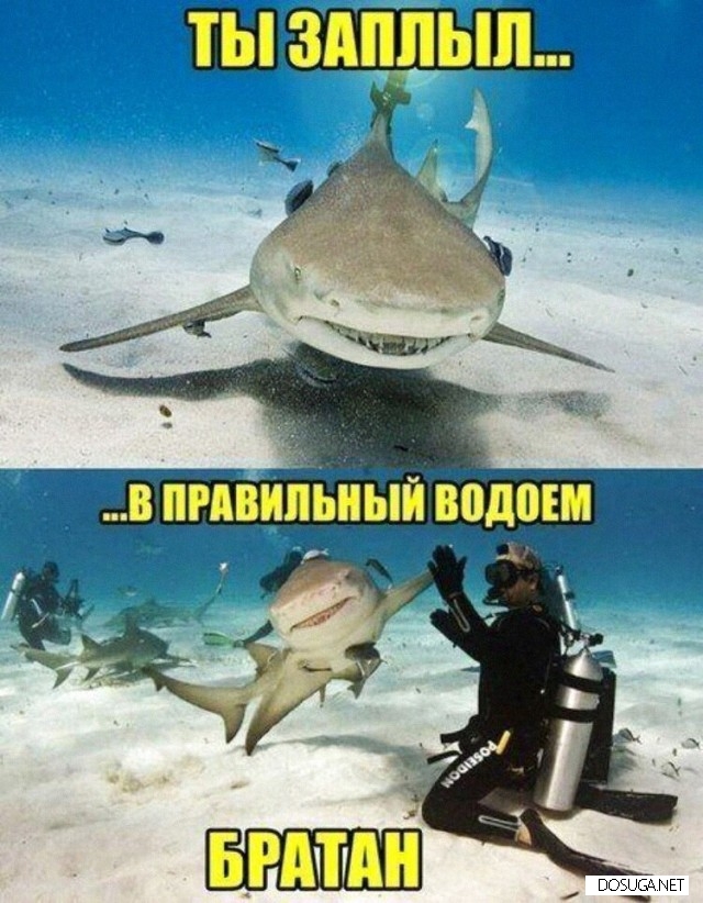 Смешные картинки