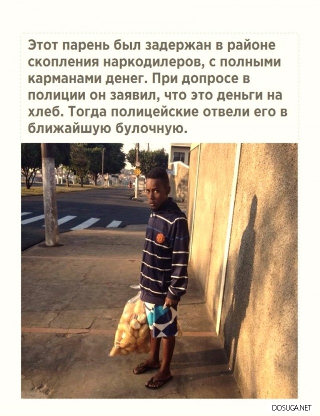 Смешные картинки