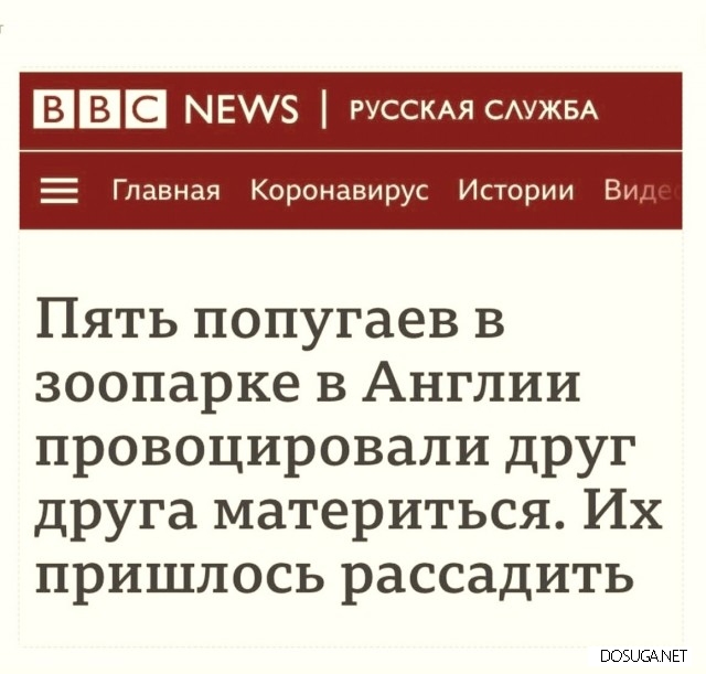 Смешные картинки