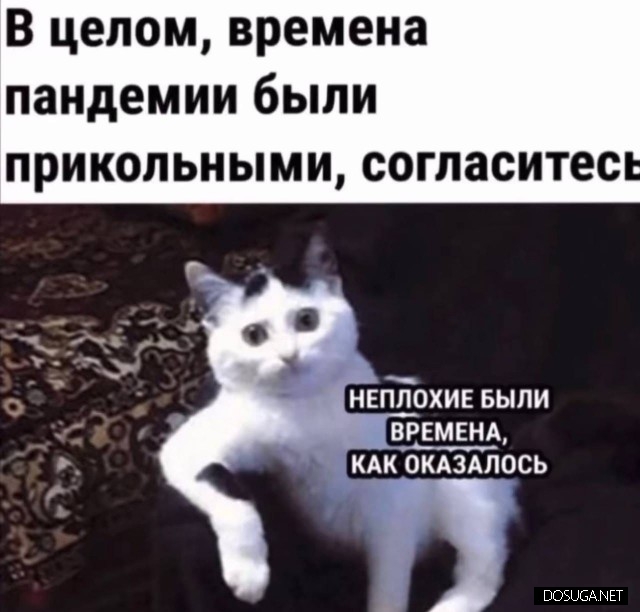 Смешные картинки