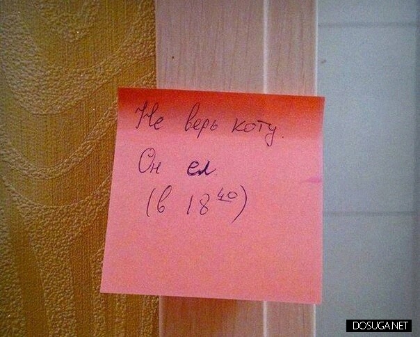 Смешные картинки