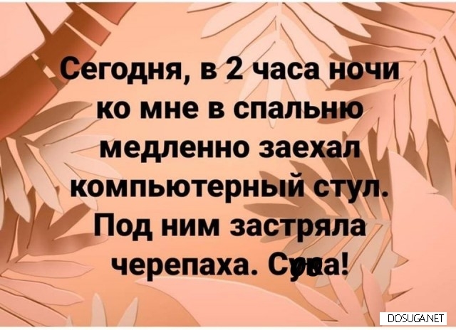 Смешные картинки