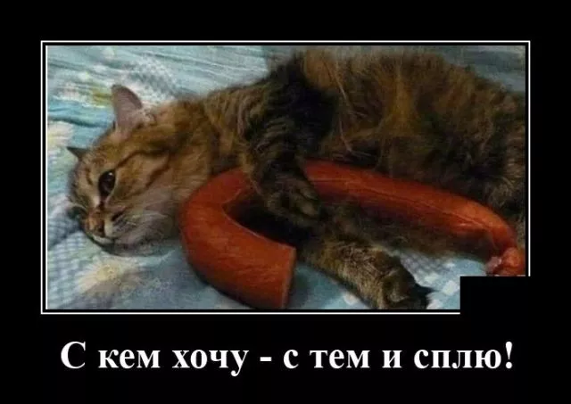 демотиватор смешной