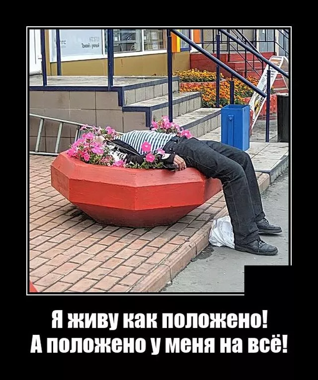 демотиватор смешной