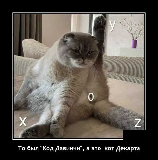 демотиватор смешной