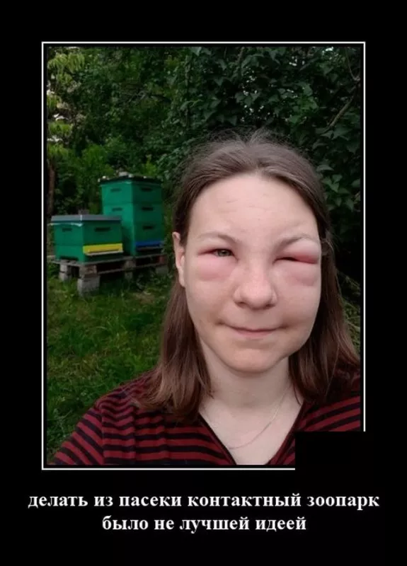 демотиватор смешной