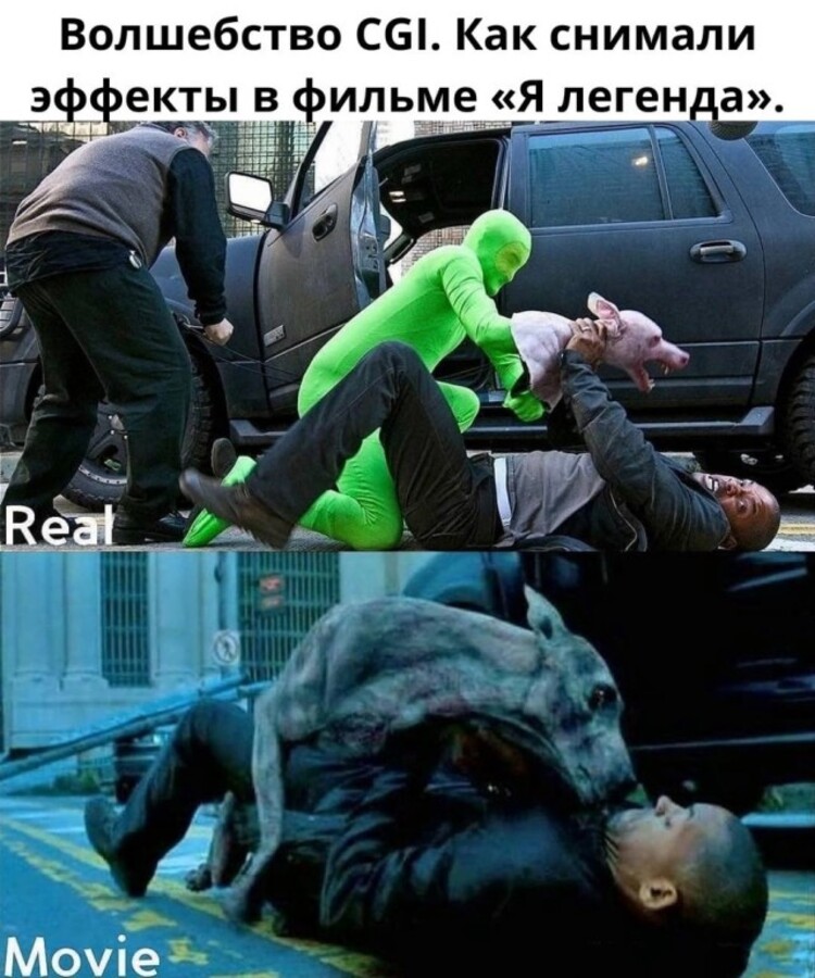 новы мемы