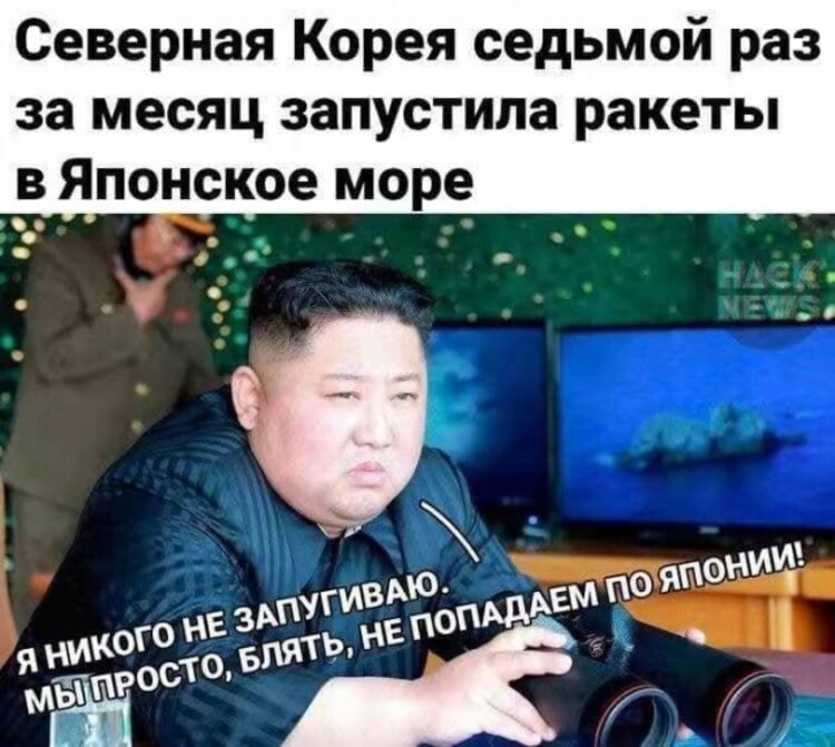 новы мемы
