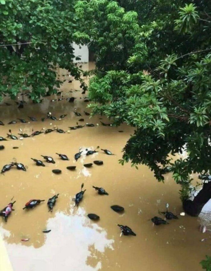 смешные картинки и фото приколы