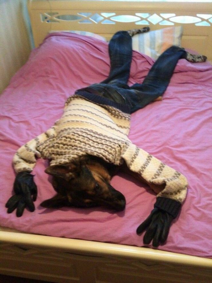 смешные картинки и фото приколы