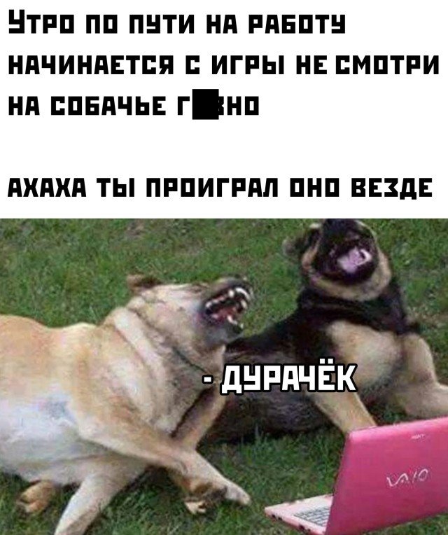 смешные картинки и фото приколы