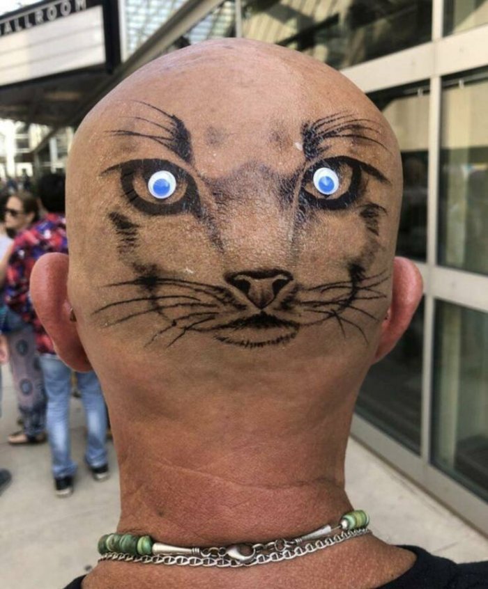 смешные картинки и фото приколы