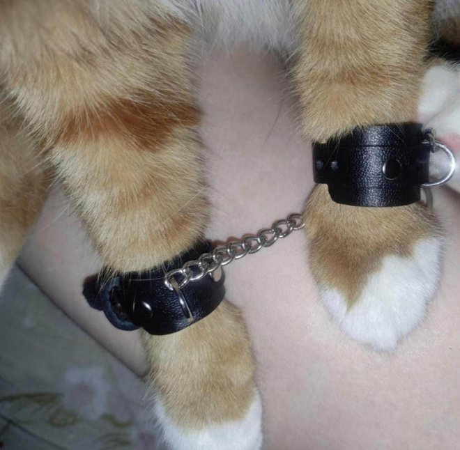 смешные картинки и фото приколы