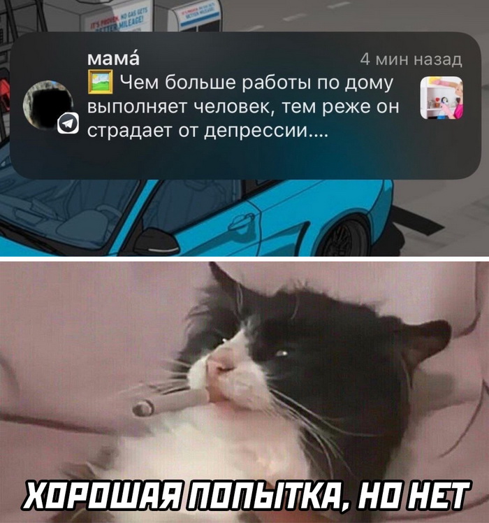 смешные комментария из соцсети