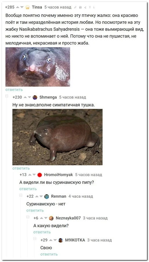 смешные комментария из соцсети