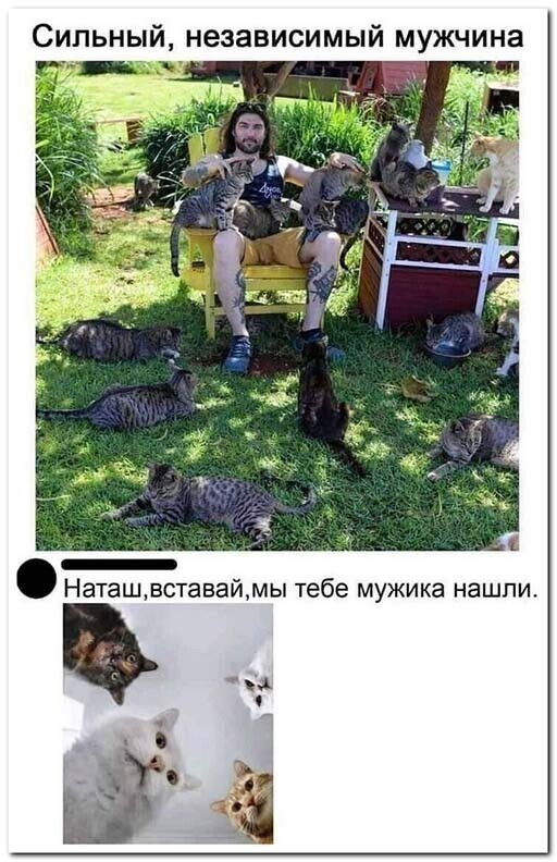 смешные комментария из соцсети