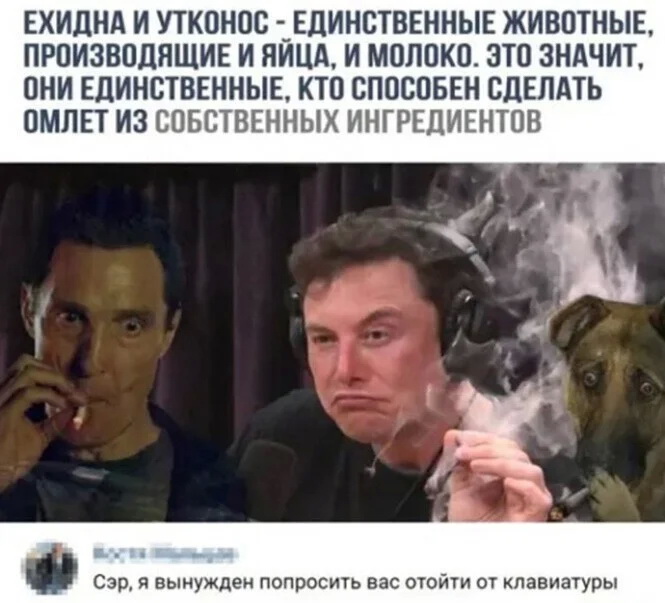 смешные комментария из соцсети